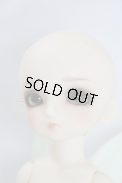 画像9: SD/精天使 U-24-04-03-212-NY-ZU (9)