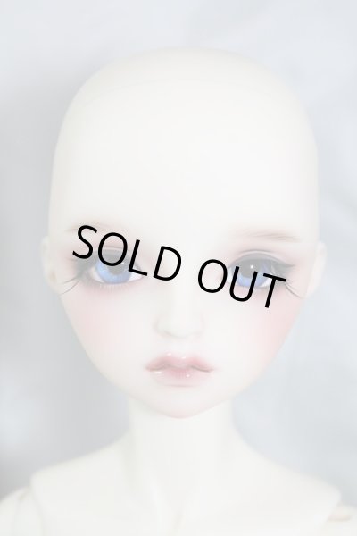 画像5: SDGｒG/F-90：ワンオフ　aone様メイク U-24-04-10-216-NY-ZU (5)