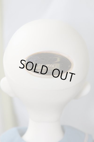 画像9: SDM女の子/F-31:コーディネートモデル U-24-05-01-212-KD-ZU (9)