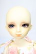 画像2: MSD女の子/フルチョイス：F-19/BJD　球体関節人形 A-25-02-12-330-KD-ZA (2)