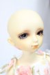 画像4: MSD女の子/フルチョイス：F-19/BJD　球体関節人形 A-25-02-12-330-KD-ZA (4)