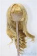 画像1: 8-9inch/ウィッグ Y-25-01-08-230-NY-ZY (1)
