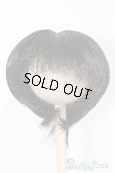 画像1: 7-8inch/ウィッグ U-24-06-04-057-NY-ZU (1)