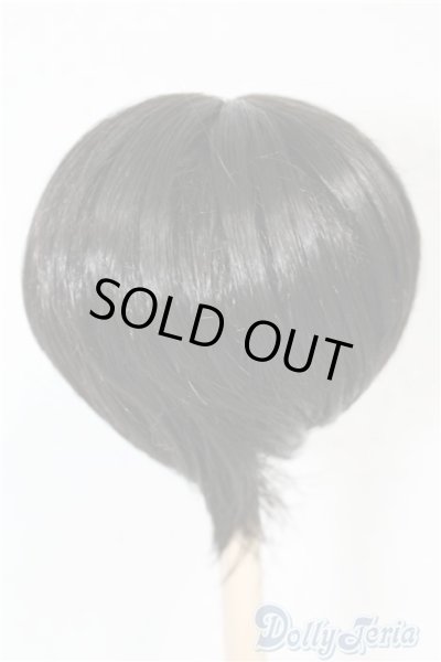 画像2: 7-8inch/ウィッグ U-24-06-04-057-NY-ZU (2)