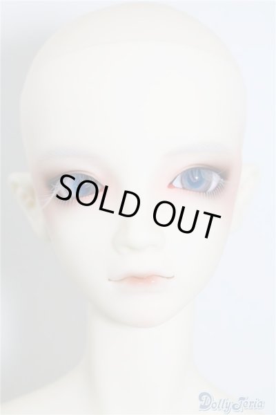 画像5: SDGrBOY/フルチョイス:SD-F-49 U-24-07-02-217-KD-ZU (5)