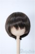 画像1: 6-7inch/ウィッグ　CROBI製 Y-24-11-06-064-NY-ZY (1)