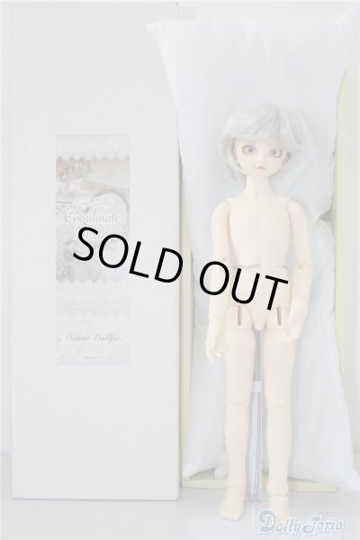 画像4: SDM/F-40　フルチョイス U-24-07-02-212-NY-ZU (4)