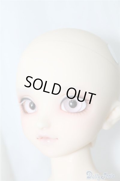 画像7: SDM/F-40　フルチョイス U-24-07-02-212-NY-ZU (7)