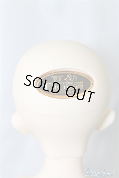 画像8: SDM/F-40　フルチョイス U-24-07-02-212-NY-ZU (8)