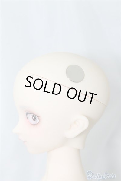 画像9: SDM/F-40　フルチョイス U-24-07-02-212-NY-ZU (9)