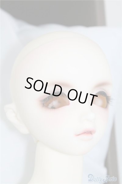 画像2: SDGｒB/F-45　フルチョイス U-24-07-02-219-NY-ZU (2)