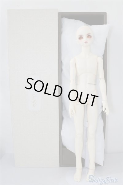 画像4: SDGｒB/F-45　フルチョイス U-24-07-02-219-NY-ZU (4)