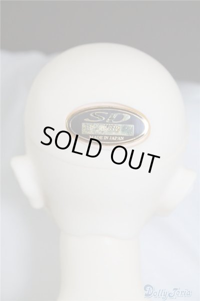 画像6: SDGｒB/F-45　フルチョイス U-24-07-02-219-NY-ZU (6)