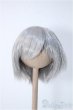 画像1: 7-8inch/ウィッグ Y-24-11-06-076-NY-ZY (1)