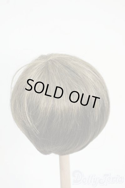 画像2: 8-9inch/ウィッグ Y-25-12-17-199-NY-ZY (2)