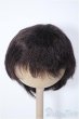 画像1: 8-9inch/ウィッグ Y-25-01-08-240-NY-ZY (1)