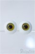 画像1: 18mm/グラスアイ Y-25-01-22-162-NY-ZY (1)