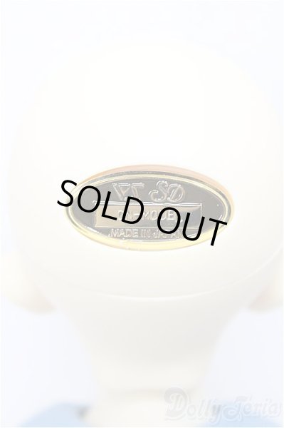 画像5: SDM女の子/F-64 コーディネートモデル A-24-07-31-300-NY-ZA (5)