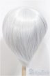 画像2: 8-9inch/ウィッグ/インチ　BJD　MJD　ドール用 A-25-01-15-308-NY-ZA (2)