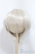画像1: 8-9inch/ウィッグ/インチ　BJD　MJD　ドール用 A-25-01-15-307-NY-ZA (1)