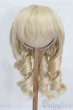 画像1: 9-10inch/ウィッグ　ROSEN LIED S-25-05-11-189-KD-ZS (1)