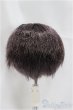 画像2: 7-8inch/ウィッグ/インチ　BJD　MJD　ドール用 A-25-04-02-403-NY-ZA (2)