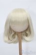 画像1: 8-9inch/ウィッグ S-25-08-03-265-NY-ZS (1)