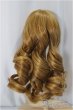 画像2: 6-7inch/ウィッグ/インチ　BJD　MJD　ドール用 A-24-10-23-127-NY-ZA (2)