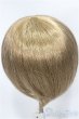 画像2: 8-9inch/ウィッグ/インチ　BJD　MJD　ドール用 A-25-04-02-424-NY-ZA (2)