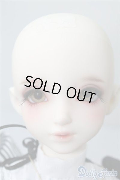 画像2: SD女の子/F-85　ワンオフモデル A-24-12-10-220-NY-ZA (2)