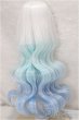 画像2: 7-8inch/ウィッグ/インチ　BJD　MJD　ドール用 A-24-12-11-225-NY-ZA (2)