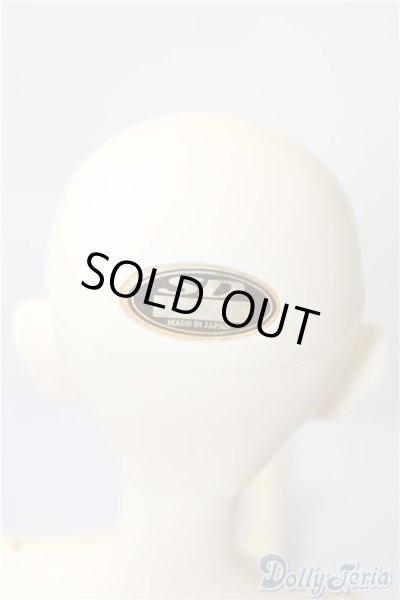 画像5: SD/F-22ワンオフモデル：Rumina様メイク U-24-12-10-212-KD-ZU (5)