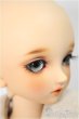 画像3: SDM女の子/コーディネートモデルF-33/BJD　球体関節人形 A-25-01-01-257-NY-ZA (3)
