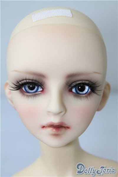 画像2: SD/F-34カスタムヘッド U-25-01-14-217-KD-ZU (2)