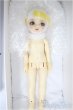 画像4: 幼天使/椿/BJD　球体関節人形 A-25-01-29-256-KD-ZA (4)