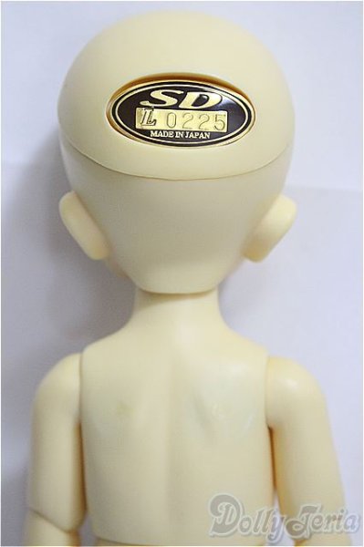 画像5: 幼天使/ゆう/BJD 球体関節人形 A-25-01-29-258-KD-ZA (5)