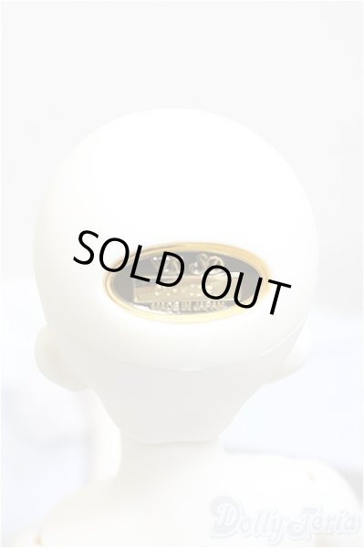 画像5: SDM女の子/コーディネートモデルF-62/BJD　球体関節人形 A-25-02-12-186-NY-ZA (5)