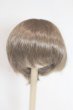 画像1: 8.5-9inch/ウィッグ/インチ　BJD　MJD　ドール用 A-25-04-02-406-NY-ZA (1)