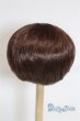 画像2: 8inch/ウィッグ/インチ　BJD　MJD　ドール用 A-25-04-02-423-NY-ZA (2)