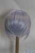 画像2: 7-8inch/ウィッグ/インチ　BJD　MJD　ドール用 A-25-04-02-427-NY-ZA (2)