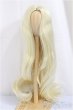 画像1: 8-9inch/ウィッグ/インチ　BJD　MJD　ドール用 A-25-04-02-429-NY-ZA (1)
