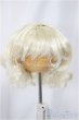 画像1: 6-7inch/ウィッグ/インチ　BJD　MJD　ドール用 A-25-03-05-165-NY-ZA (1)