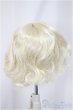画像2: 6-7inch/ウィッグ/インチ　BJD　MJD　ドール用 A-25-03-05-165-NY-ZA (2)