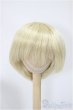 画像1: 9-10inch/ウィッグ/インチ　BJD　MJD　ドール用 A-25-04-02-399-NY-ZA (1)
