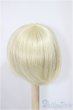 画像2: 9-10inch/ウィッグ/インチ　BJD　MJD　ドール用 A-25-04-02-399-NY-ZA (2)