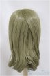 画像2: 9-10inch/ウィッグ　W-168-T1109/インチ　BJD　MJD　ドール用 A-25-02-26-195-NY-ZA (2)
