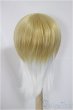 画像2: 9-10inch/ウィッグ　BJD CROBI製/インチ　BJD　MJD　ドール用 A-25-04-02-401-NY-ZA (2)