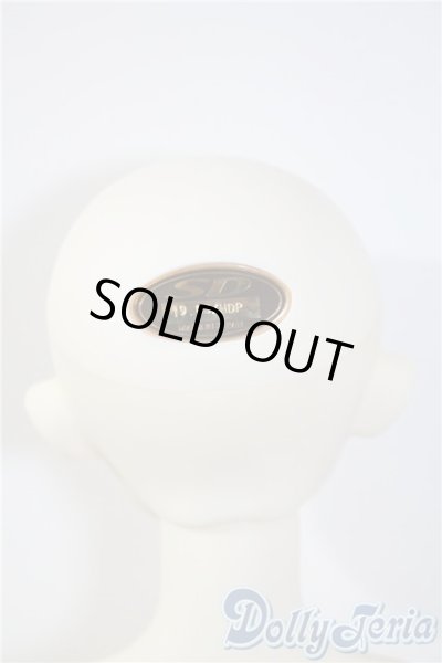 画像5: SDGIRL/リーゼロッテ the Best of the Bests Ver.2019 U-25-03-04-214-NY-ZU (5)