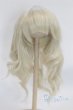 画像1: 9-10inch/ウィッグ/インチ　BJD　MJD　ドール用 A-25-03-05-048-NY-ZA (1)