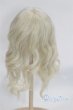 画像2: 9-10inch/ウィッグ/インチ　BJD　MJD　ドール用 A-25-03-05-048-NY-ZA (2)